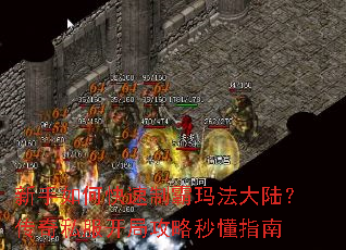 ������ο����ư��귨��½������˽�����ֹ����붮ָ��