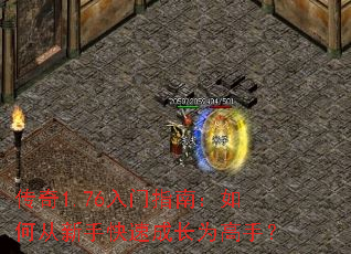 ����1.76����ָ�ϣ���δ����ֿ��ٳɳ�Ϊ���֣�