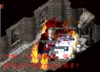 ����1.76����ָ�ϣ���δ����ֿ��ٳɳ�Ϊ���֣�