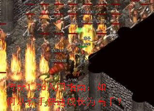 ����1.76����ָ�ϣ���δ����ֿ��ٳɳ�Ϊ���֣�