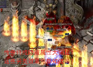 �����ؽ��������Դ���أ���Щ����Ч���㶼֪����