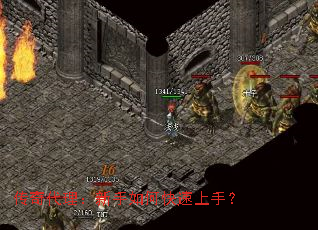 ���������������ο������֣�