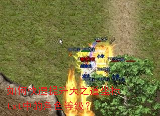 ��ο���������֮������txt�еĽ�ɫ�ȼ���