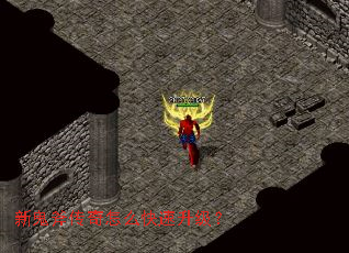 �¹���������ô����������