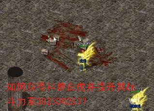 如何获得神兽白虎并提升其战斗力至302300253? 如何获得神兽白虎并提升其战斗力至302300253?