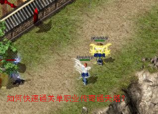 如何快速通关单职业传奇通天塔? 如何快速通关单职业传奇通天塔?