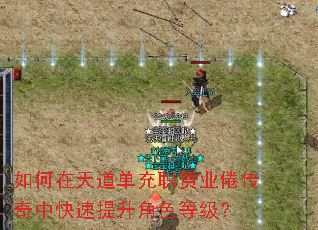 如何在天道单充职赁业倦传奇中快速提升角色等级? 如何在天道单充职赁业倦传奇中快速提升角色等级?