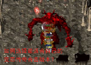 ���ѡ�����ʺ��Լ��ı�̬����ϻ��汾��