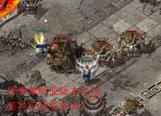 ���浥ְҵ�汾֮����쾿���ж��