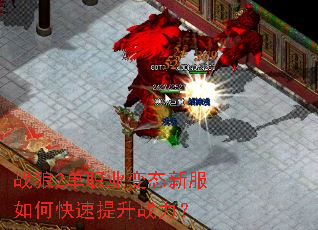 战狼2单职业变态新服如何快速提升战力? 战狼2单职业变态新服如何快速提升战力?