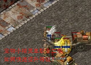 宠物小精灵单职业二季如何快速提升等级? 宠物小精灵单职业二季如何快速提升等级?