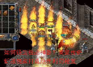 ��ζ��켫Ʒ������Ӣ�������·����Ҵ��������������