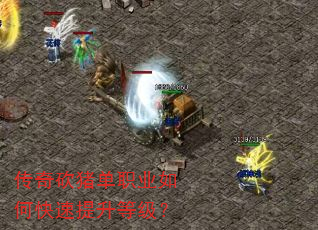 传奇砍猪单职业如何快速提升等级? 传奇砍猪单职业如何快速提升等级?