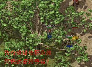 传奇砍猪单职业如何快速提升等级? 传奇砍猪单职业如何快速提升等级?