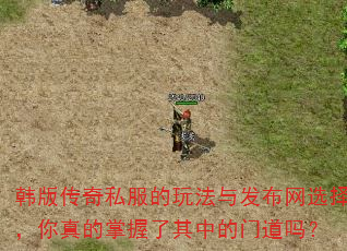韩版传奇私服的玩法与发布网选择,你真的掌握了其中的门道吗? 韩版传奇私服的玩法与发布网选择,你真的掌握了其中的门道吗?