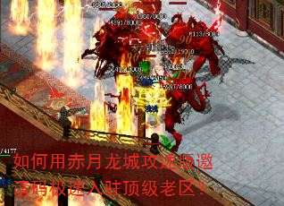 ����ó������ǹ��ٰ������뼫����פ����������