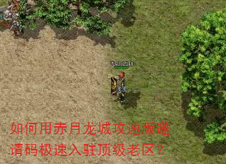 ����ó������ǹ��ٰ������뼫����פ����������