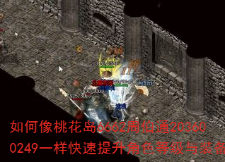 如何像桃花岛6662周伯通203600249一样快速提升角色等级与装备? 如何像桃花岛6662周伯通203600249一样快速提升角色等级与装备?