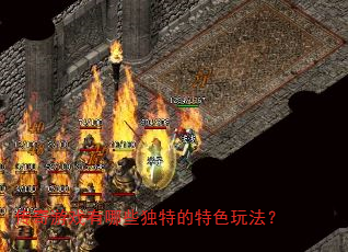 ������Ϸ����Щ���ص���ɫ�淨��