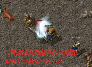 ������Ϸ��ѵ�������ָ�ϣ���ΰ�ȫ������Ʒ���˺ţ�