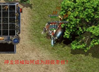 神龙领袖如何成为超级老板? 神龙领袖如何成为超级老板?