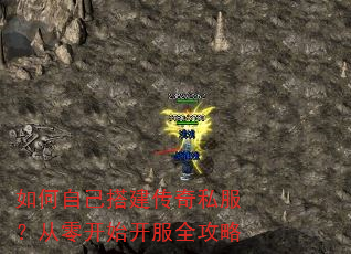 ����Լ������˽�������㿪ʼ����ȫ����
