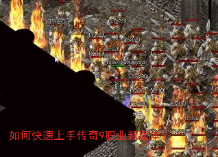 ��ο������ִ���9ְҵ�°汾��