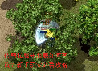 ����˽����������β�ѯ��������ұؿ�����