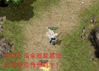 如何打造全服最嚣张的单职业传奇霸主? 如何打造全服最嚣张的单职业传奇霸主?