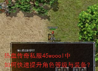 热血传奇私服45woool中如何快速提升角色等级与装备? 热血传奇私服45woool中如何快速提升角色等级与装备?