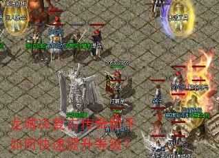 龙城决复古传奇新手如何快速提升等级? 龙城决复古传奇新手如何快速提升等级?