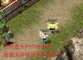 如何成为9377传奇私服霸主并领取至尊福利? 如何成为9377传奇私服霸主并领取至尊福利?