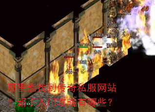 哪里能找到传奇私服网站?新手入门攻略有哪些? 哪里能找到传奇私服网站?新手入门攻略有哪些?