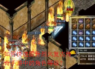 如何快速提升烈火复古传奇手游中的角色等级? 如何快速提升烈火复古传奇手游中的角色等级?