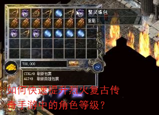 如何快速提升烈火复古传奇手游中的角色等级? 如何快速提升烈火复古传奇手游中的角色等级?