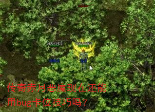 传奇赤月恶魔现在还能用bug卡位技巧吗? 传奇赤月恶魔现在还能用bug卡位技巧吗?