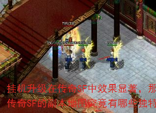 挂机升级在传奇SF中效果显著,那么热血传奇SF的副本地图究竟有哪些独特优势? 挂机升级在传奇SF中效果显著,那么热血传奇SF的副本地图究竟有哪些独特优势?