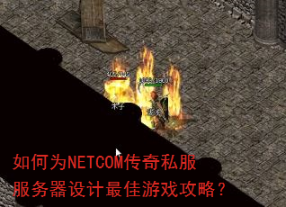 ���ΪNETCOM����˽����������������Ϸ���ԣ�