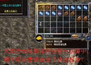 大型传奇私服排行榜前十端游中,哪个职业最适合新手快速起步? 大型传奇私服排行榜前十端游中,哪个职业最适合新手快速起步?
