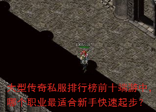 大型传奇私服排行榜前十端游中,哪个职业最适合新手快速起步? 大型传奇私服排行榜前十端游中,哪个职业最适合新手快速起步?