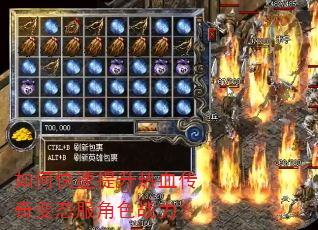 如何快速提升热血传奇变态服角色战力? 如何快速提升热血传奇变态服角色战力?