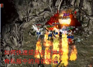 如何快速提升在月灵传奇私服中的角色等级? 如何快速提升在月灵传奇私服中的角色等级?