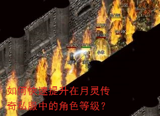 如何快速提升在月灵传奇私服中的角色等级? 如何快速提升在月灵传奇私服中的角色等级?