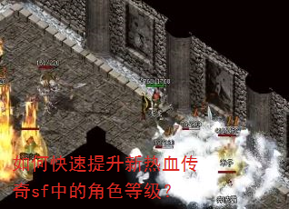 如何快速提升新热血传奇sf中的角色等级? 如何快速提升新热血传奇sf中的角色等级?