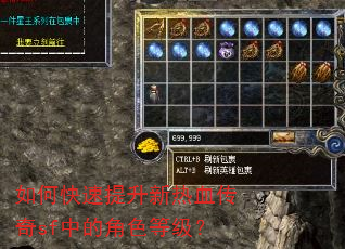 如何快速提升新热血传奇sf中的角色等级? 如何快速提升新热血传奇sf中的角色等级?