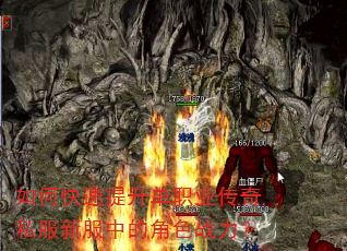 ��ο���������ְҵ����˽���·��еĽ�ɫս����