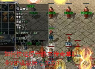 如何快速提升热血传奇单职业VIP满级账号实力? 如何快速提升热血传奇单职业VIP满级账号实力?