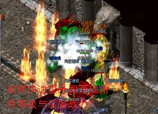 如何快速提升殿萧琰角色等级与装备战力? 如何快速提升殿萧琰角色等级与装备战力?