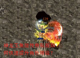 神龙玉兔版传奇私服如何快速提升角色等级? 神龙玉兔版传奇私服如何快速提升角色等级?