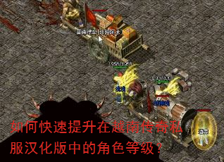 如何快速提升在越南传奇私服汉化版中的角色等级? 如何快速提升在越南传奇私服汉化版中的角色等级?